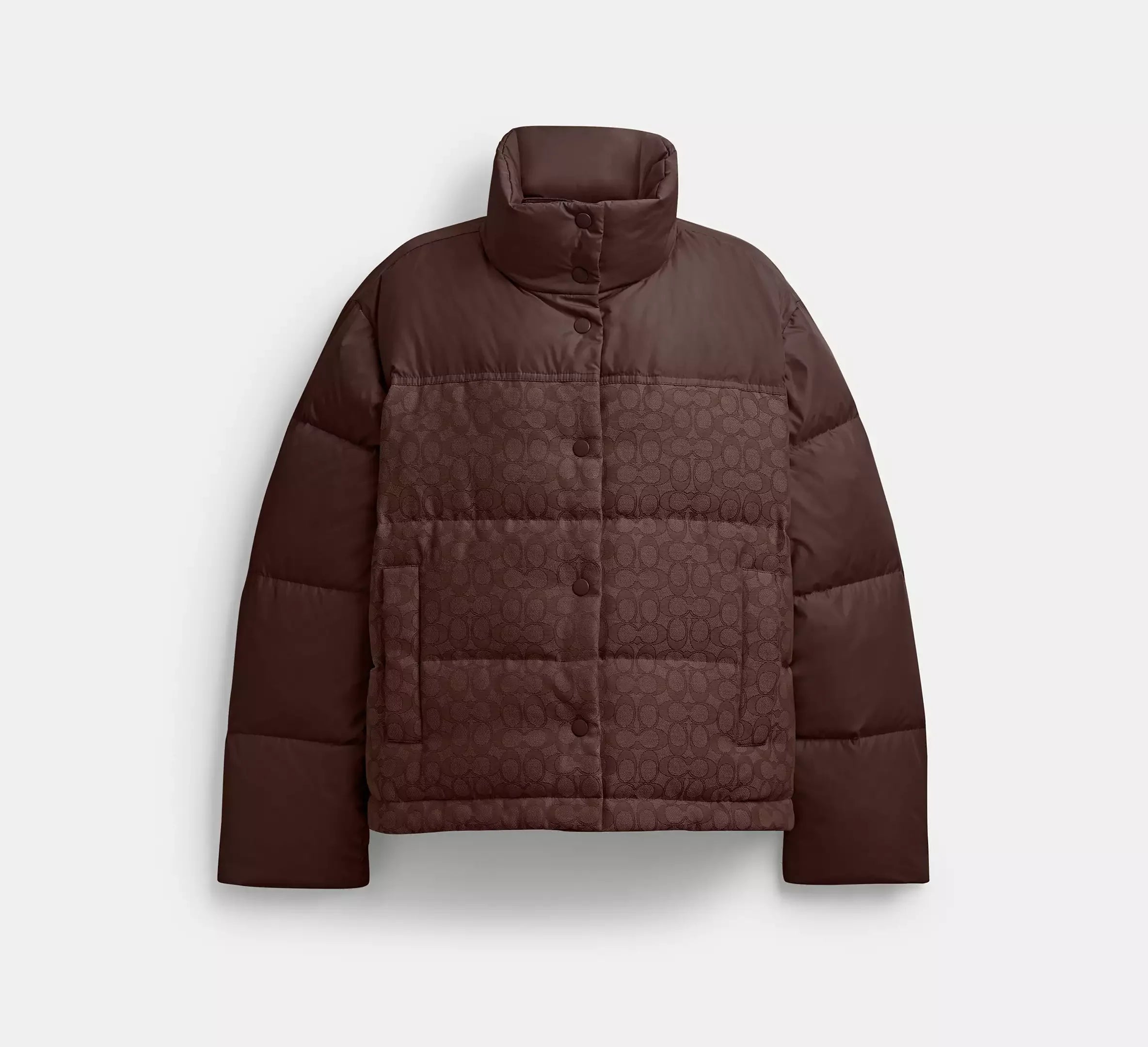 Coach Signature Down Jacket - Maple - My Suti